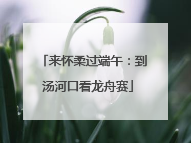 来怀柔过端午：到汤河口看龙舟赛