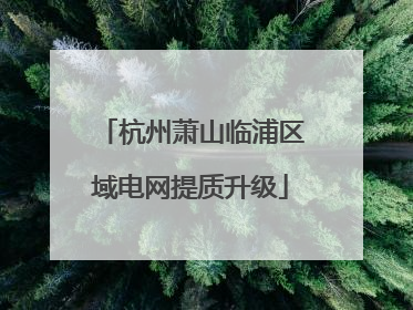 杭州萧山临浦区域电网提质升级