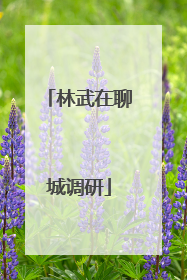 林武在聊城调研
