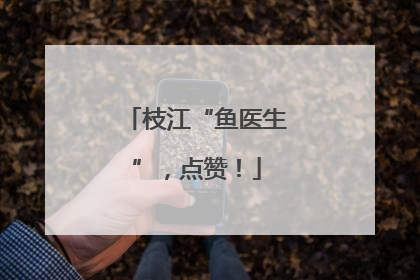 枝江“鱼医生”，点赞！