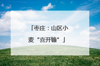 枣庄：山区小麦“喜开镰”