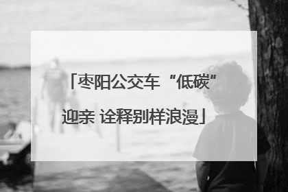 枣阳公交车“低碳”迎亲 诠释别样浪漫