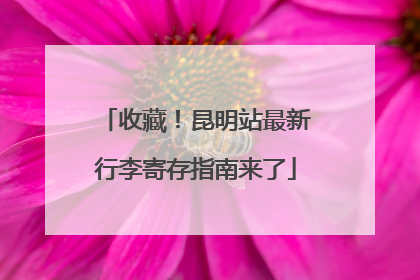收藏！昆明站最新行李寄存指南来了