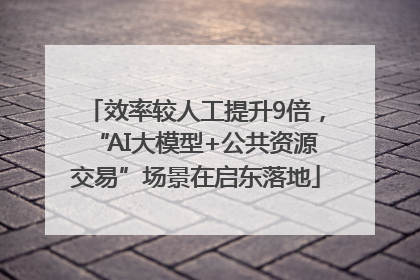 效率较人工提升9倍，“AI大模型+公共资源交易”场景在启东落地