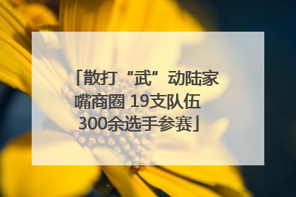 散打“武”动陆家嘴商圈 19支队伍300余选手参赛