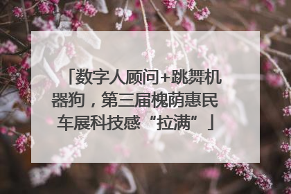 数字人顾问+跳舞机器狗，第三届槐荫惠民车展科技感“拉满”