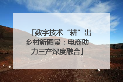 数字技术“耕”出乡村新图景：电商助力三产深度融合