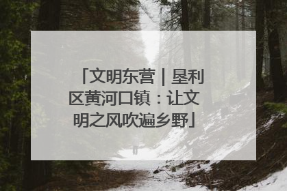 文明东营｜垦利区黄河口镇：让文明之风吹遍乡野