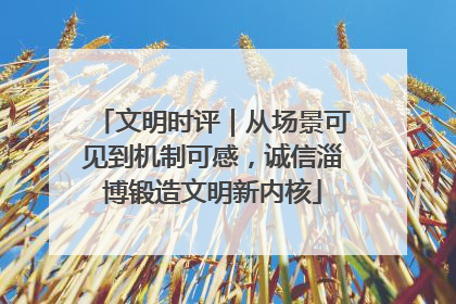 文明时评｜从场景可见到机制可感，诚信淄博锻造文明新内核
