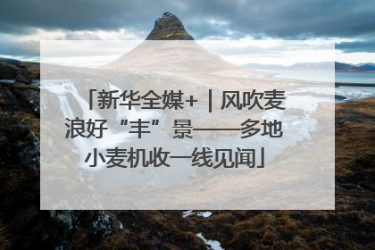 新华全媒+｜风吹麦浪好“丰”景——多地小麦机收一线见闻