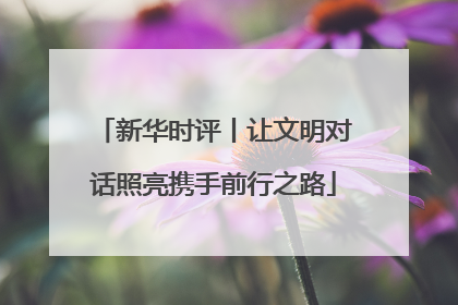 新华时评丨让文明对话照亮携手前行之路
