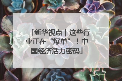新华视点｜这些行业正在“爆单”！中国经济活力密码