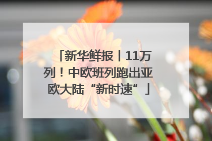 新华鲜报丨11万列！中欧班列跑出亚欧大陆“新时速”