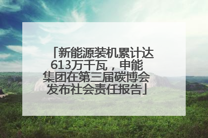 新能源装机累计达613万千瓦，申能集团在第三届碳博会发布社会责任报告