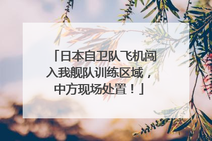 日本自卫队飞机闯入我舰队训练区域，中方现场处置！