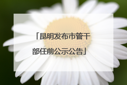 昆明发布市管干部任前公示公告