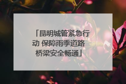 昆明城管紧急行动 保障雨季道路桥梁安全畅通
