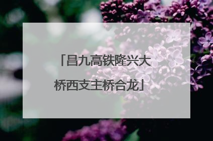 昌九高铁隆兴大桥西支主桥合龙