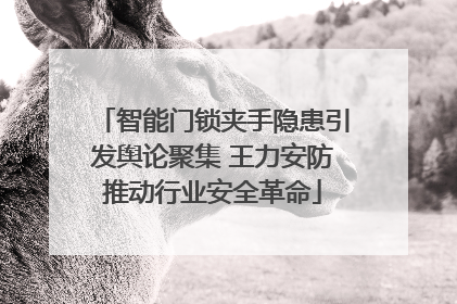 智能门锁夹手隐患引发舆论聚集 王力安防推动行业安全革命