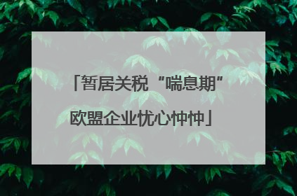 暂居关税“喘息期” 欧盟企业忧心忡忡
