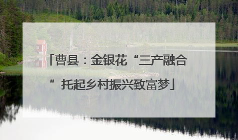 曹县：金银花“三产融合”托起乡村振兴致富梦