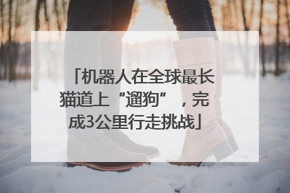 机器人在全球最长猫道上“遛狗”，完成3公里行走挑战