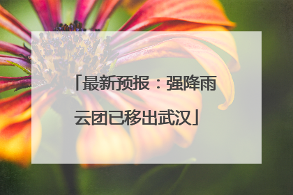 最新预报：强降雨云团已移出武汉