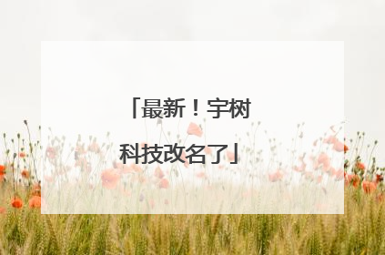 最新！宇树科技改名了