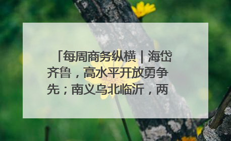 每周商务纵横｜海岱齐鲁，高水平开放勇争先；南义乌北临沂，两扇窗里观外贸