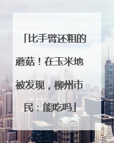 比手臂还粗的蘑菇！在玉米地被发现，柳州市民：能吃吗