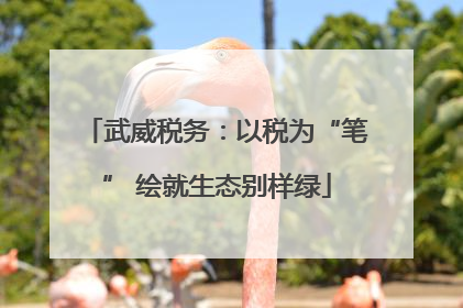 武威税务：以税为“笔” 绘就生态别样绿
