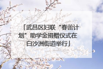 武昌区妇联“春蕾计划”助学金捐赠仪式在白沙洲街道举行