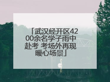 武汉经开区4200余名学子雨中赴考 考场外再现暖心场景