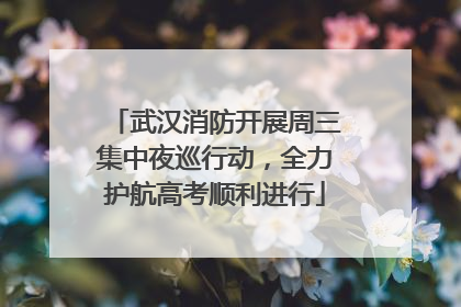 武汉消防开展周三集中夜巡行动，全力护航高考顺利进行