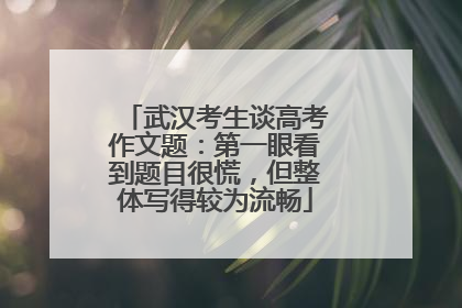 武汉考生谈高考作文题：第一眼看到题目很慌，但整体写得较为流畅