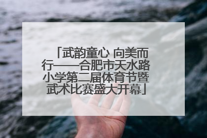武韵童心 向美而行——合肥市天水路小学第二届体育节暨武术比赛盛大开幕