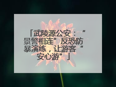 武陵源公安：“景警相连”反恐防暴演练，让游客“安心游”