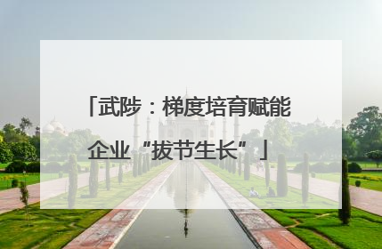 武陟：梯度培育赋能企业“拔节生长”