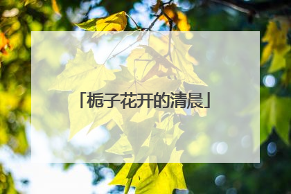 栀子花开的清晨
