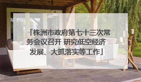 株洲市政府第七十三次常务会议召开 研究低空经济发展、大抓落实等工作
