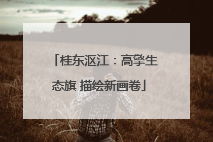 桂东沤江：高擎生态旗 描绘新画卷