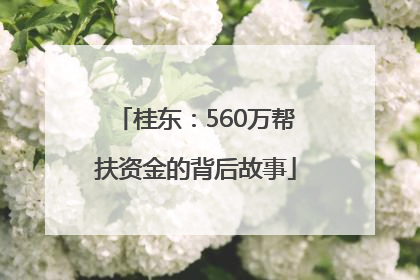 桂东：560万帮扶资金的背后故事