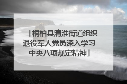 桐柏县清淮街道组织退役军人党员深入学习中央八项规定精神