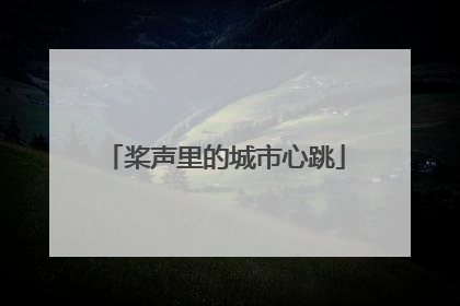 桨声里的城市心跳