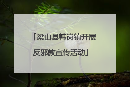 梁山县韩岗镇开展反邪教宣传活动
