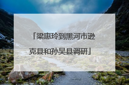 梁惠玲到黑河市逊克县和孙吴县调研