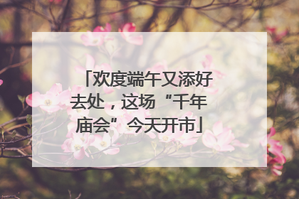 欢度端午又添好去处，这场“千年庙会”今天开市