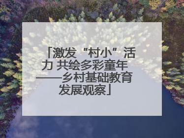 激发“村小”活力 共绘多彩童年——乡村基础教育发展观察