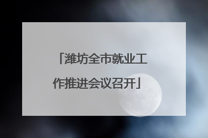 潍坊全市就业工作推进会议召开