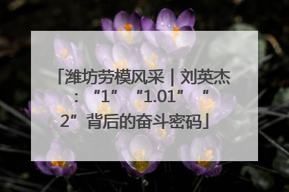 潍坊劳模风采｜刘英杰：“1”“1.01”“2”背后的奋斗密码